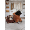 Костюм Pet Fashion Balu для собак