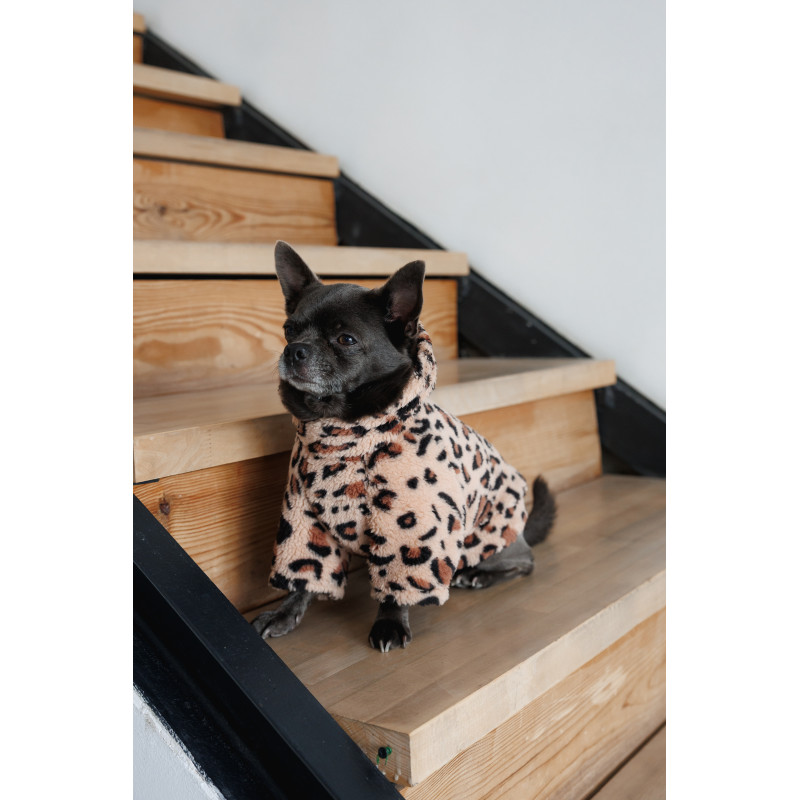 Толстовка Pet Fashion Push для собак