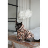 Толстовка Pet Fashion Push для собак