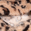 Толстовка Pet Fashion Push для собак