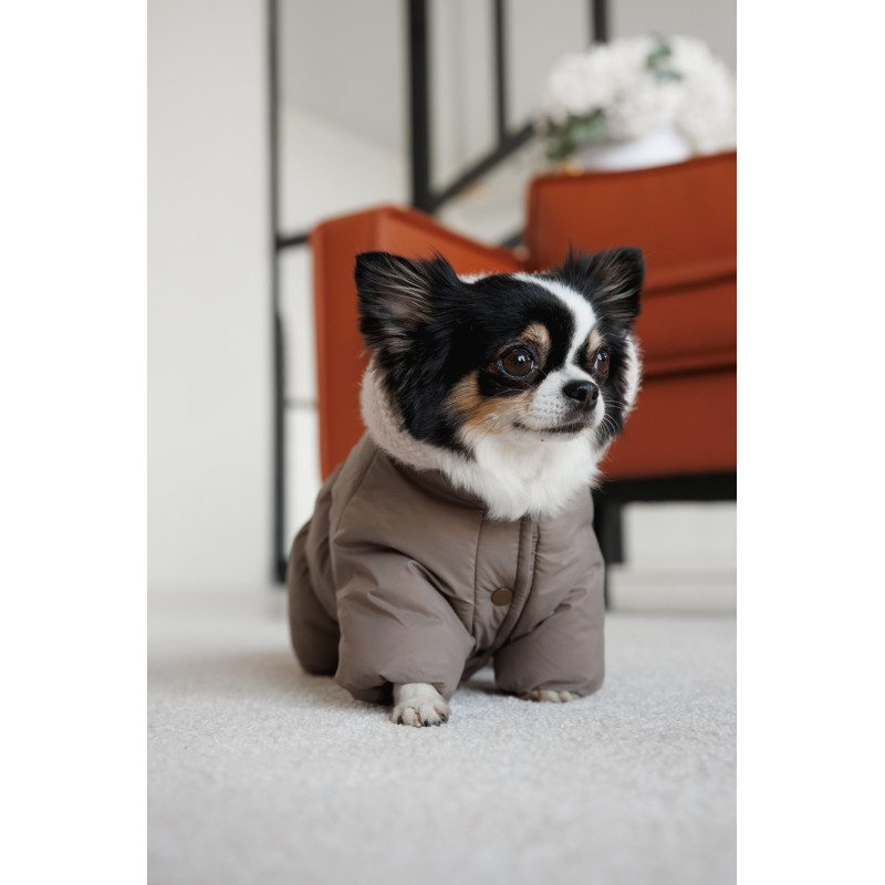 Комбінезон Pet Fashion Flora для собак дівчинка