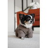 Комбінезон Pet Fashion Flora для собак дівчинка