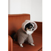 Комбінезон Pet Fashion Flora для собак дівчинка