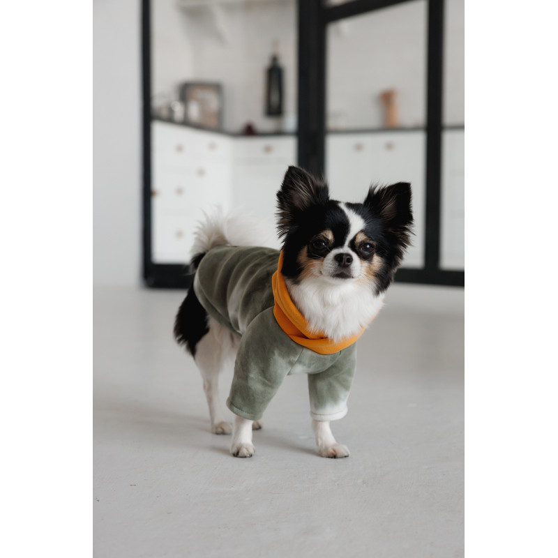 Толстовка Pet Fashion Tie-dye для собак