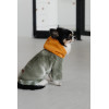 Толстовка Pet Fashion Tie-dye для собак