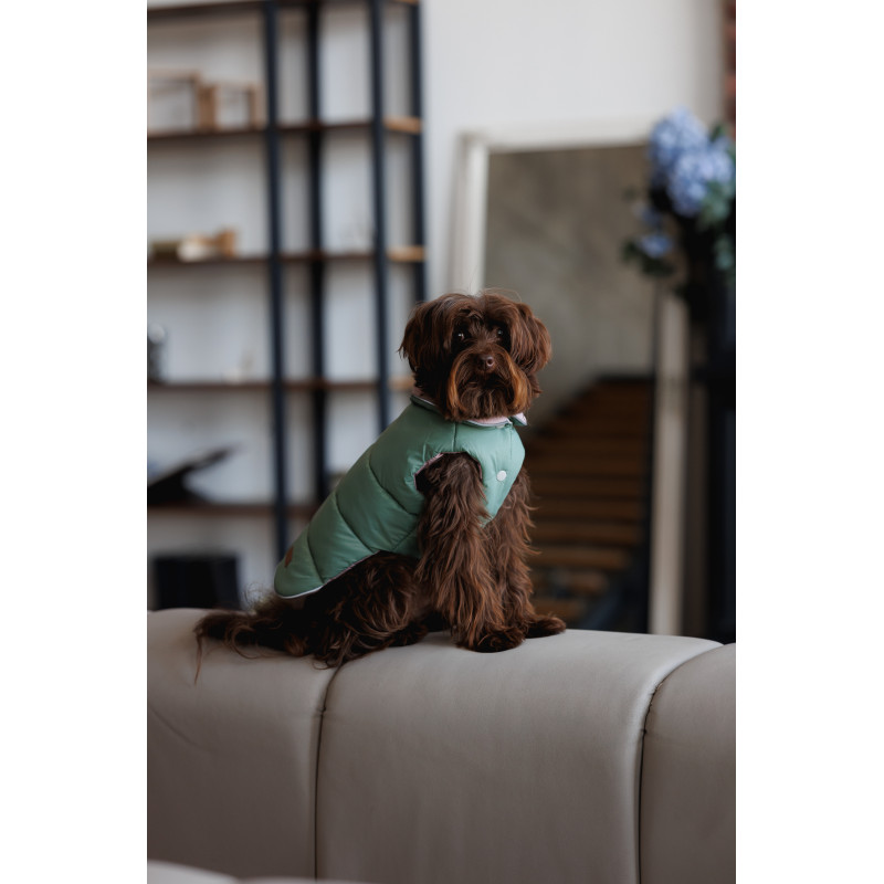 Жилет двобічний Pet Fashion Holiday для собак
