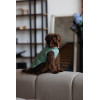 Жилет двобічний Pet Fashion Holiday для собак