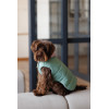 Жилет двобічний Pet Fashion Holiday для собак