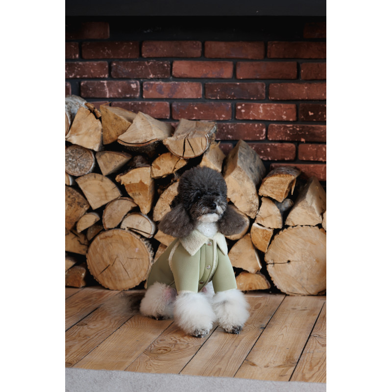 Дублянка Pet Fashion Olive для собак
