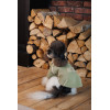 Дублянка Pet Fashion Olive для собак