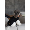 Светр Pet Fashion Mood для собак