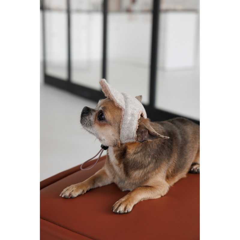 Кепка Pet Fashion Lelik для собак