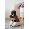 Светр Pet Fashion Rob для собак бежевий