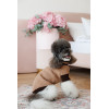 Светр Pet Fashion Rob для собак бежевий