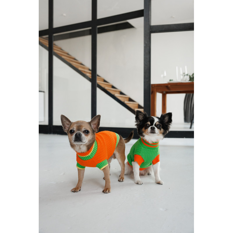 Светр Pet Fashion Rob для собак помаранчевий