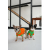 Светр Pet Fashion Rob для собак помаранчевий