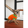 Светр Pet Fashion Rob для собак помаранчевий