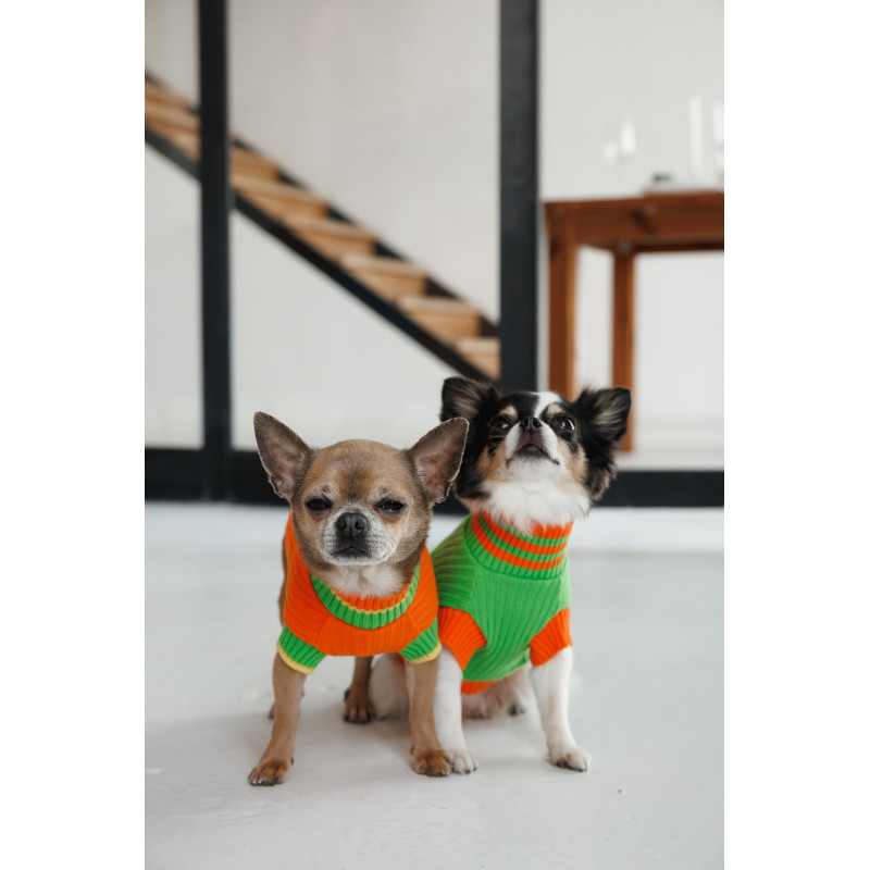Светр Pet Fashion Rob для собак зелений