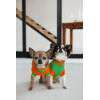 Светр Pet Fashion Rob для собак зелений