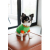 Светр Pet Fashion Rob для собак зелений