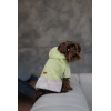 Толстовка Pet Fashion Twist для собак