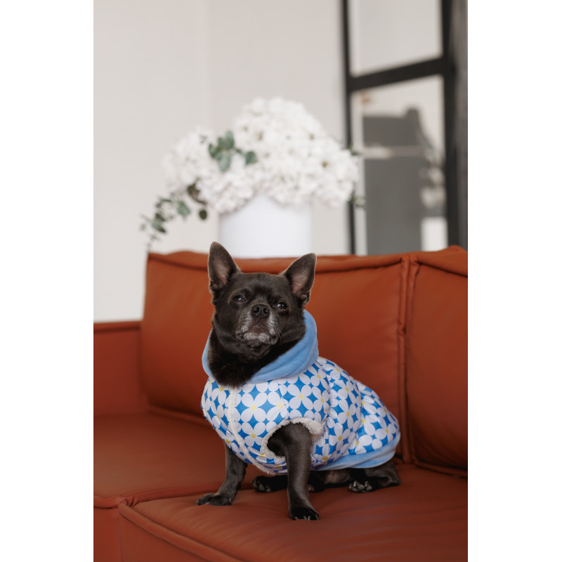 Жилет Pet Fashion Fiesta для собак
