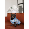 Жилет Pet Fashion Fiesta для собак