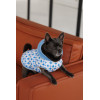Жилет Pet Fashion Fiesta для собак