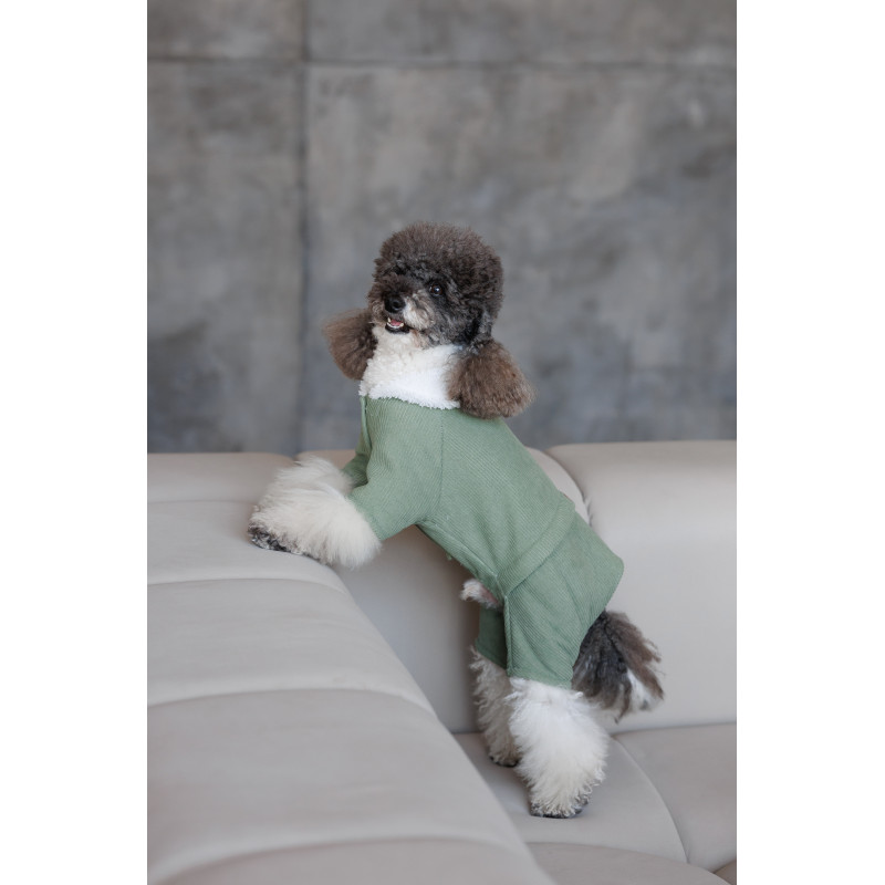 Комбінезон Pet Fashion Kiwi для собак