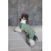 Комбінезон Pet Fashion Kiwi для собак