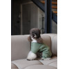 Комбінезон Pet Fashion Kiwi для собак