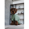 Комбінезон Pet Fashion Kiwi для собак