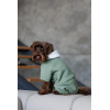 Комбінезон Pet Fashion Kiwi для собак