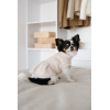 Сукня Pet Fashion Adele для собак
