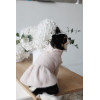 Сукня Pet Fashion Adele для собак