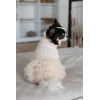 Сукня Pet Fashion Kathryn для собак