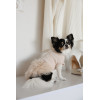 Сукня Pet Fashion Kathryn для собак